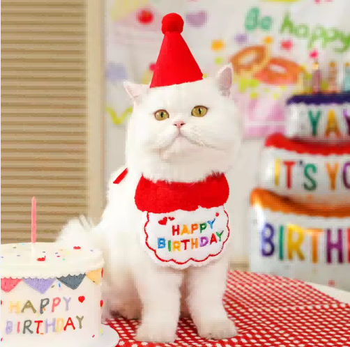 Pawsitively Chic(Pet clothing & Decor)